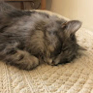 Meet your Posher, Aiya